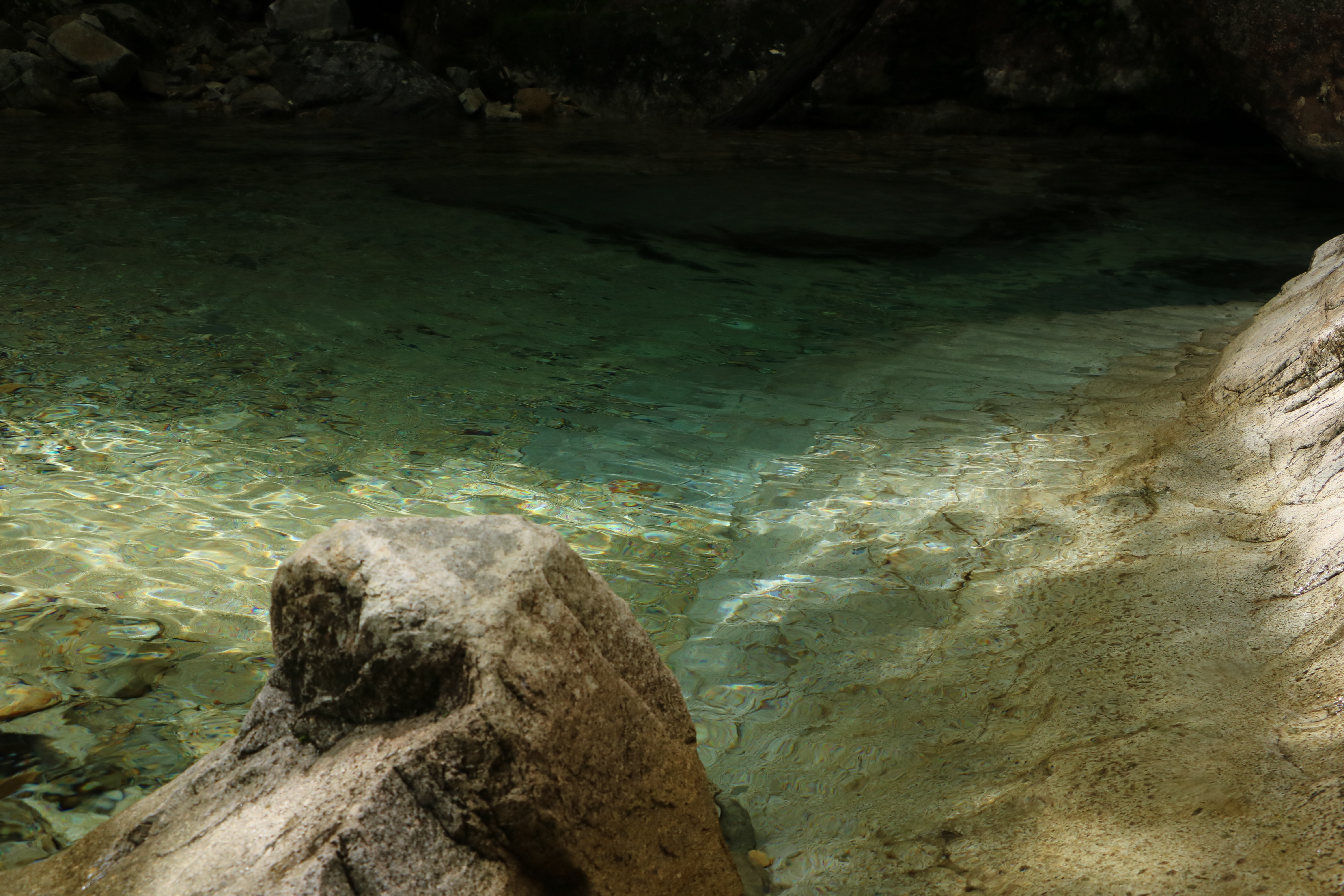 ヤマトイワナの生息渓谷